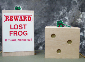 lost frog